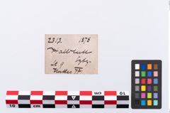 Etikett zu Bronzering (NHMW-PRAE-002313)